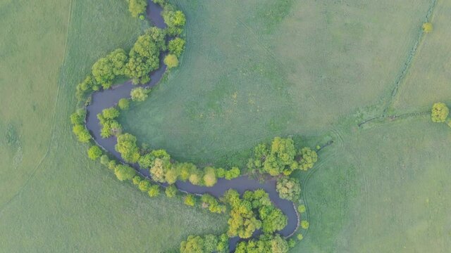 Aerial view of river meander in the lush green vegetation of the delta.
Beautiful landscape - wild river in USA.
National nature reserve in summer.