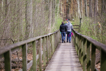 people walking in the forest