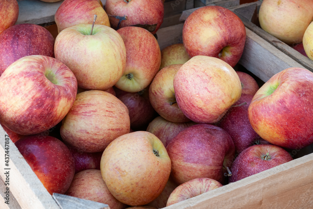 Poster Apples in crates ready for the market