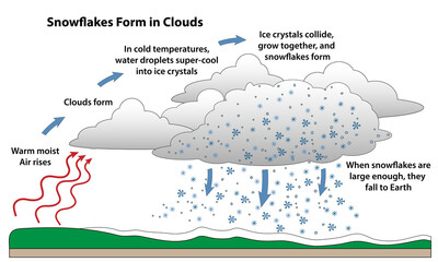 Snowflake formation in a science diagram. How snow forms into flakes as warm air rises and condenses. Cold temperatures cause water droplets to freeze into ice crystals that collide and grow together.