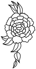 Rose or peony flower bouquet Outline black and white drawing. Doodle style . Vector illustration