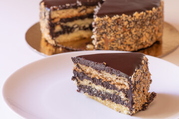 A slice of mouth-watering dark chocolate cake 