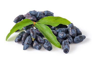 Honeysuckle Berries With Leaves isolated on white background