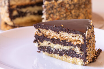 A slice of mouth-watering dark chocolate cake 