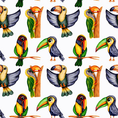 Hand drawn watercolor seamless pattern of toucan tropical birds in cute cartoon style