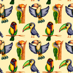 Hand drawn watercolor seamless pattern of toucan tropical birds in cute cartoon style