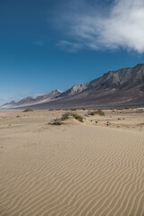 Fototapeta na wymiar cofete beach with an expanse of mountains on a sunny day in fuerteventura