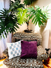 living room chair with green plant and pillows