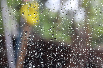 rain drops on window