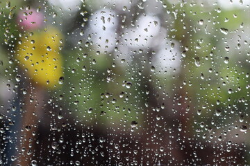 rain drops on the window