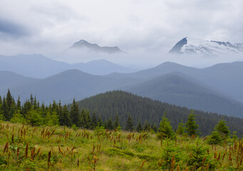 green mountain valley in mist and dense clouds