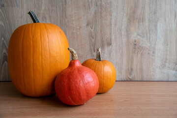 Group of various orang ripe pumpkins lies on wooden the table. Close-up view. Selective focus. Copy space for your text. Organic food theme.