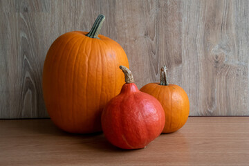 Group of various orang ripe pumpkins lies on wooden the table. Close-up view. Selective focus. Organic food theme.