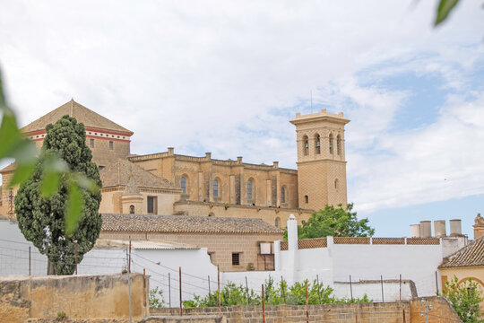 Magnificent view of the facade of the Colegiata church of Nuestra Se&ntilde;ora de la Asuncion in Osuna, Seville, Andalusia, Spain
