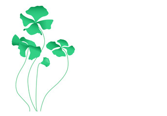 Four leaf clover with copy space, drawn by hand with 4 realistic plants one of them still being born. Saint Patrick's day. Botanical illustration.
