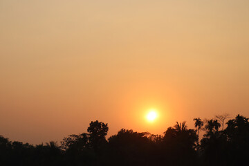 Sunset in a village behind the tree. Yellow evening sky .  Beautiful evening sky  