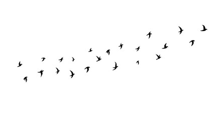 A flock of flying birds. Side view. Vector illustration