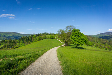 Wisła - Cieńków | Śląsk, Polska - obrazy, fototapety, plakaty