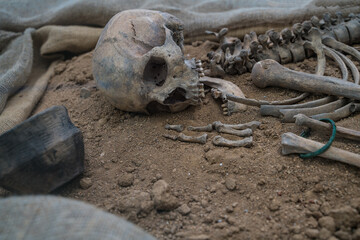 Skeleton burial of an ancient man. Skull and bones grave