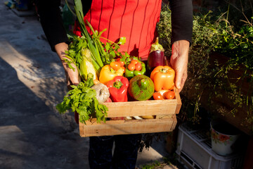 verduras frescas para cocinar sano!!!