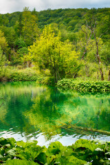 Fototapeta premium Kroatien Plitvicer Seen