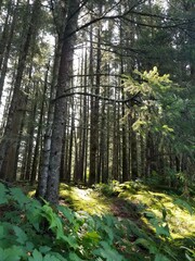 A glimpse at scenic Alaskan vistas 