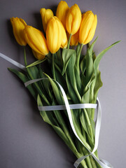 
Desktop. tulips flowers. surprise, holiday