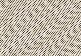 Fototapeta premium many dry bamboo stick background