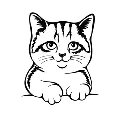 Funny cute kitten black and white isolated on white background. cricut silhouette, Cut Cutting files, Cat Decal