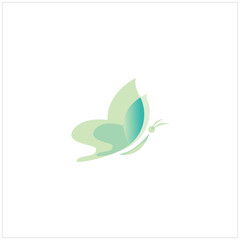 simple and elegant butter fly light green color