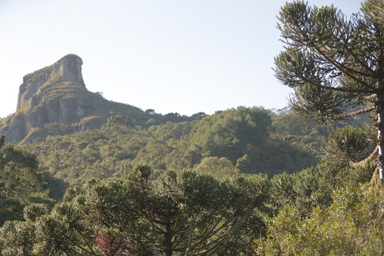 Pedra da Águia, Serra Catarinense, Urubici, Santa Catarina, Brasil. 