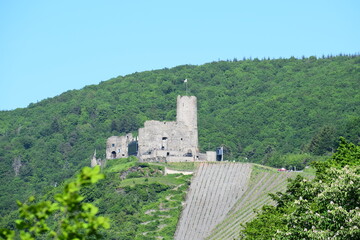 Ruine Landshut, Bernkastel-Kues