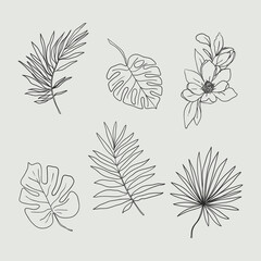 Set of tropical vector leaves isolated on white background. Vector illustration