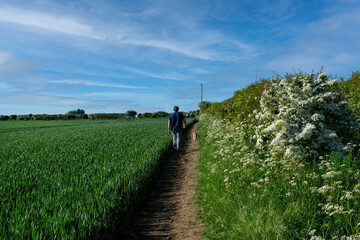 Man on his back walking the dog near a green field with white flower trees.