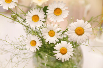 Fragrant large bouquet of daisies in a glass vase