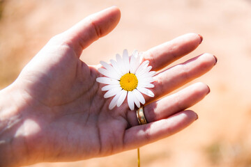 Margarida Monte Verde-MG