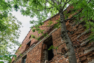Fototapeta na wymiar Staryi Sambir, Ukraine - 30.05.2021: The ruins of Synagogue in Staryi Sambir.