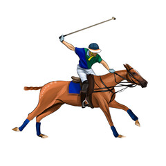 Equestrian polo with a jockey from splash of watercolors, colored drawing, realistic, Horseback riding. Vector illustration of paints