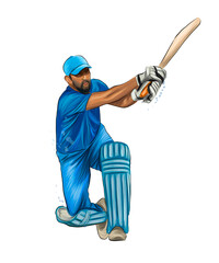 Abstract batsman playing cricket from splash of watercolors, colored drawing, realistic. Vector illustration of paints - obrazy, fototapety, plakaty