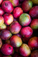 Mangifera indica - Organic tommy mango on the market