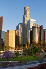 Downtown Los Angeles with jacaranda trees in bloom