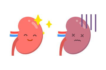 腎臓と顔