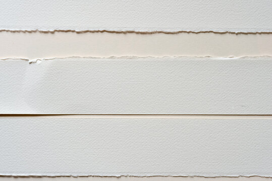 Strips Of Deckle Edge Paper Background