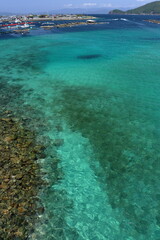 大月町　柏島の海　初夏　（高知県）