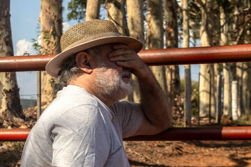 middle-aged farmer leaning against an iron gate observes and analyzes what he will plant in the new...