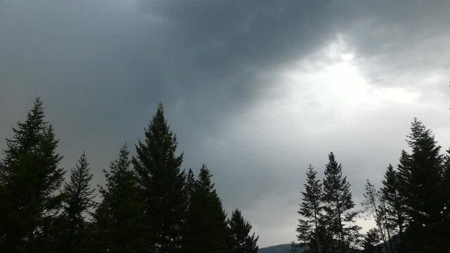 Lightning Fork Burst with thunder sound