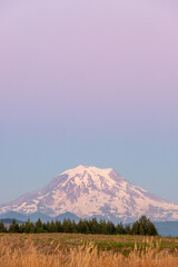 Fototapeta premium Mt. Rainier at Sunset With Purple Sky