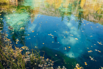 Yellow autumn leaves on clear water surface of mountain lake with reflection of golden trees in sunshine. Bright nature background of turquoise lake in autumn colors. Beautiful lake in fall time.