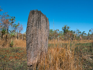 Top End Australia Magnetic termite mound horizontal