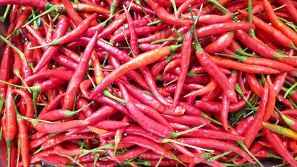 Close-up of fresh red chilli that sale in Thailand's Food Market.